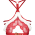Brassi&egrave;re Cindy, Rouge