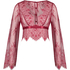 Top Allover Lace, Rood