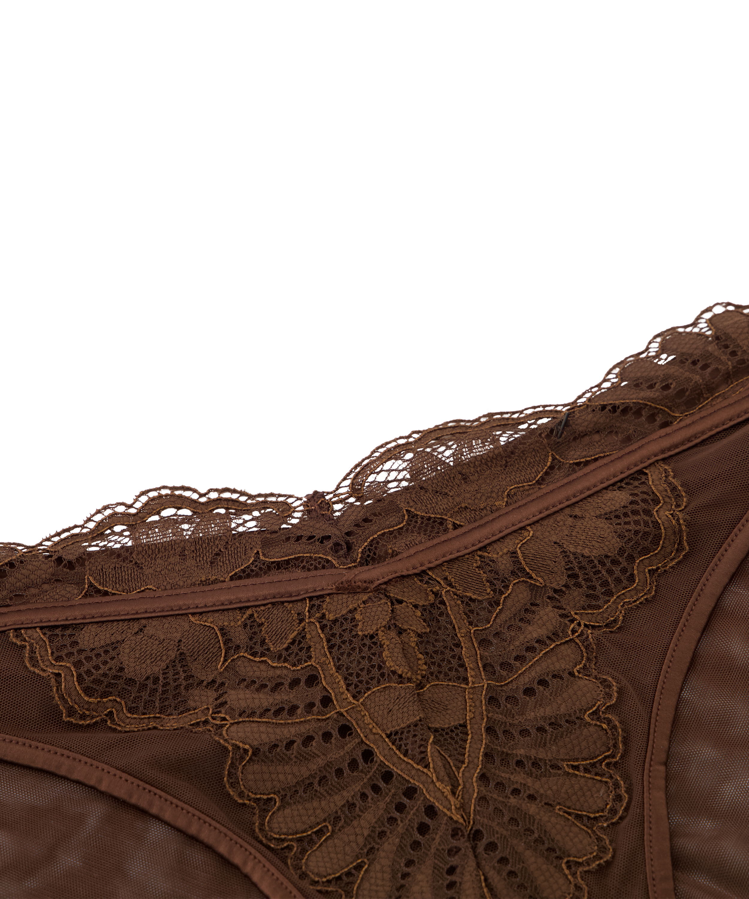 Brazilian Indigo, Bruin, main