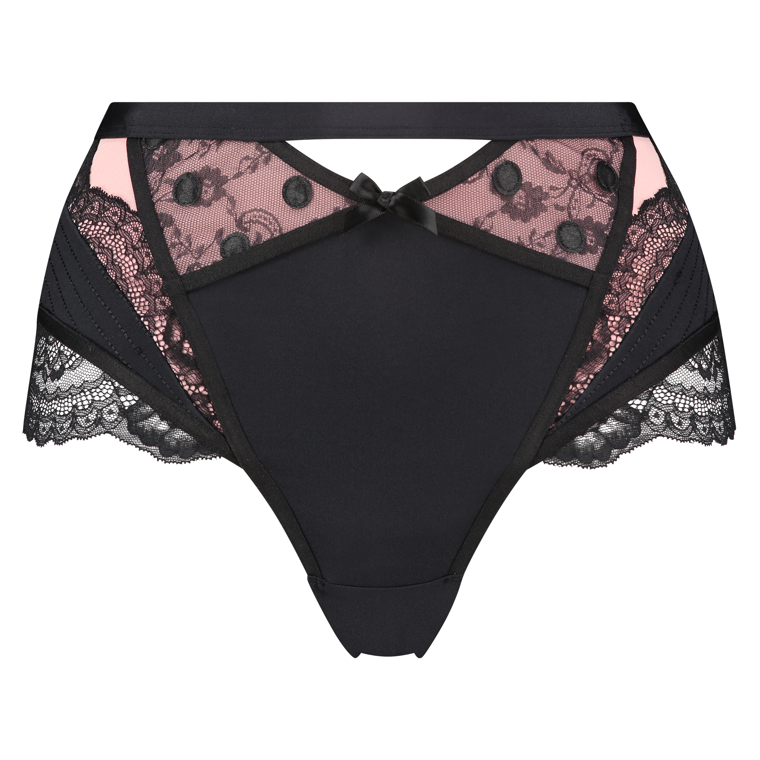 Hoge brazilian Zinnia Ann Kathrin, Zwart, main