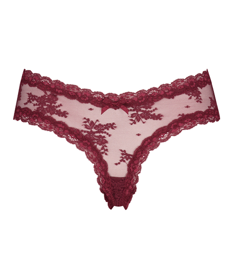 Brazilian V-shape mesh, Rood