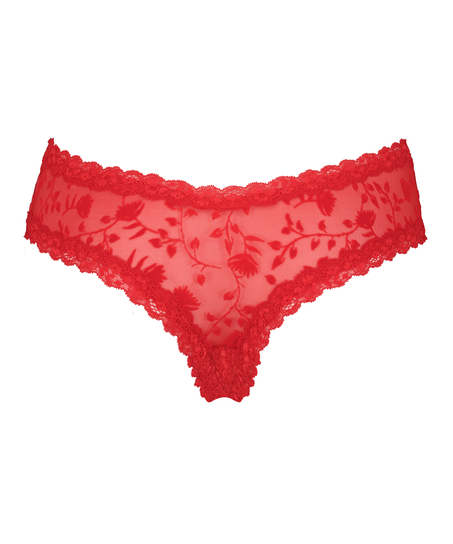 Brazilian V-shape mesh, Rood