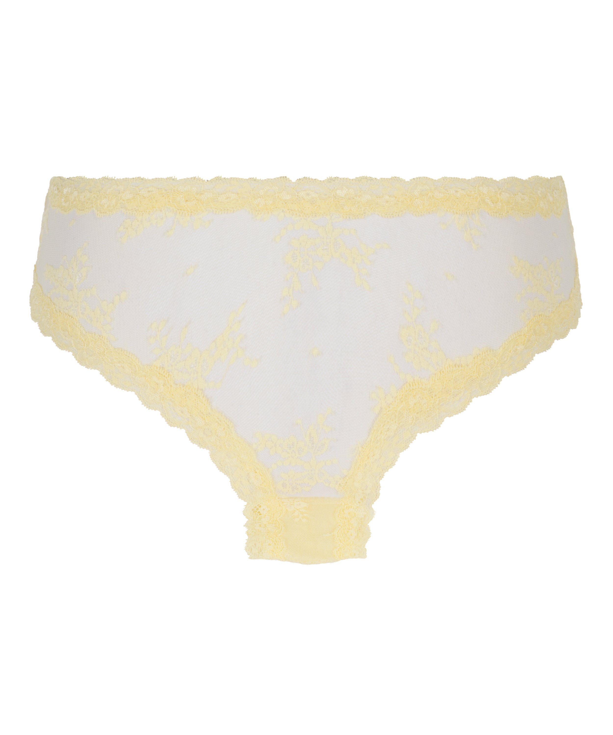 Brazilian V-shape mesh, Geel, main