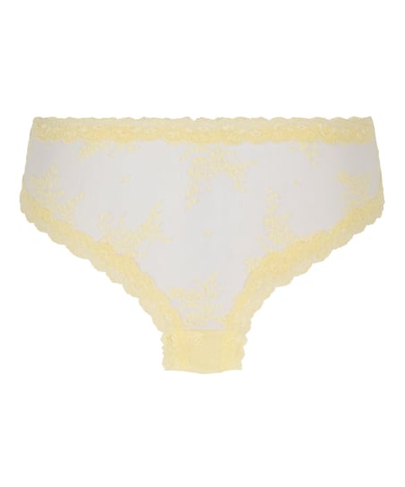 Brazilian V-shape mesh, Geel