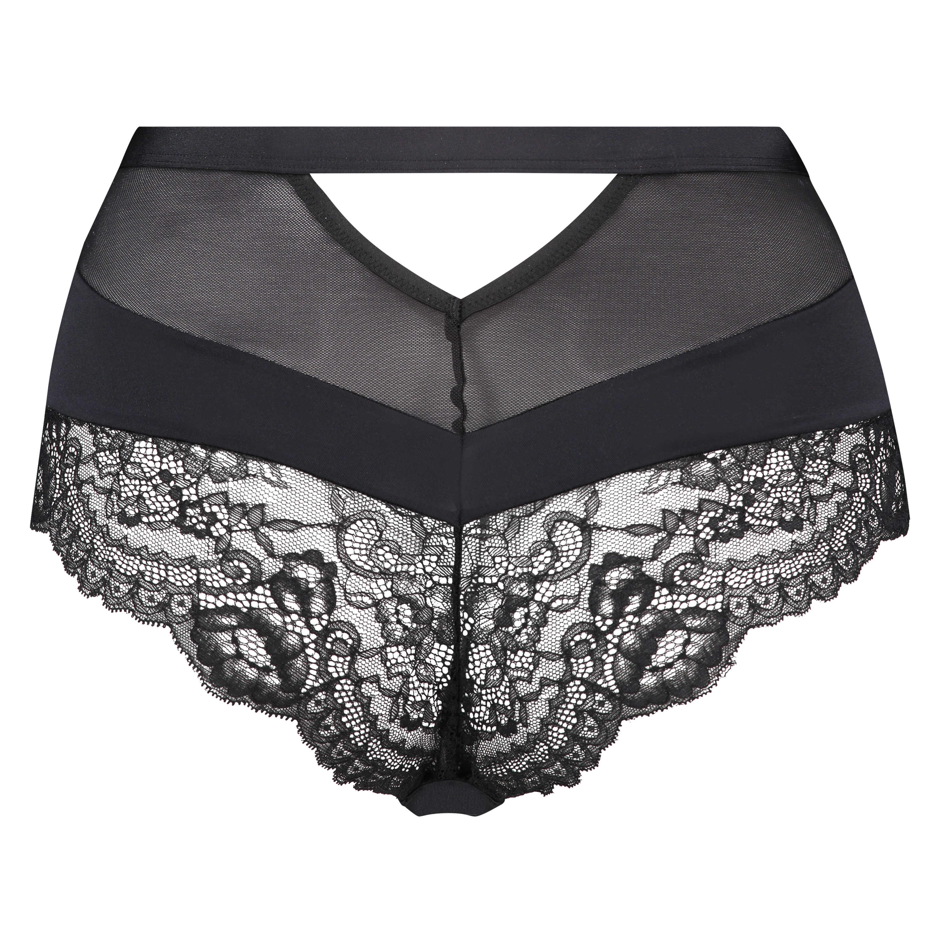 Hoge brazilian Zinnia Ann Kathrin, Zwart, main