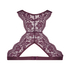 Brassi&egrave;re Halter dos nageur, Pourpre