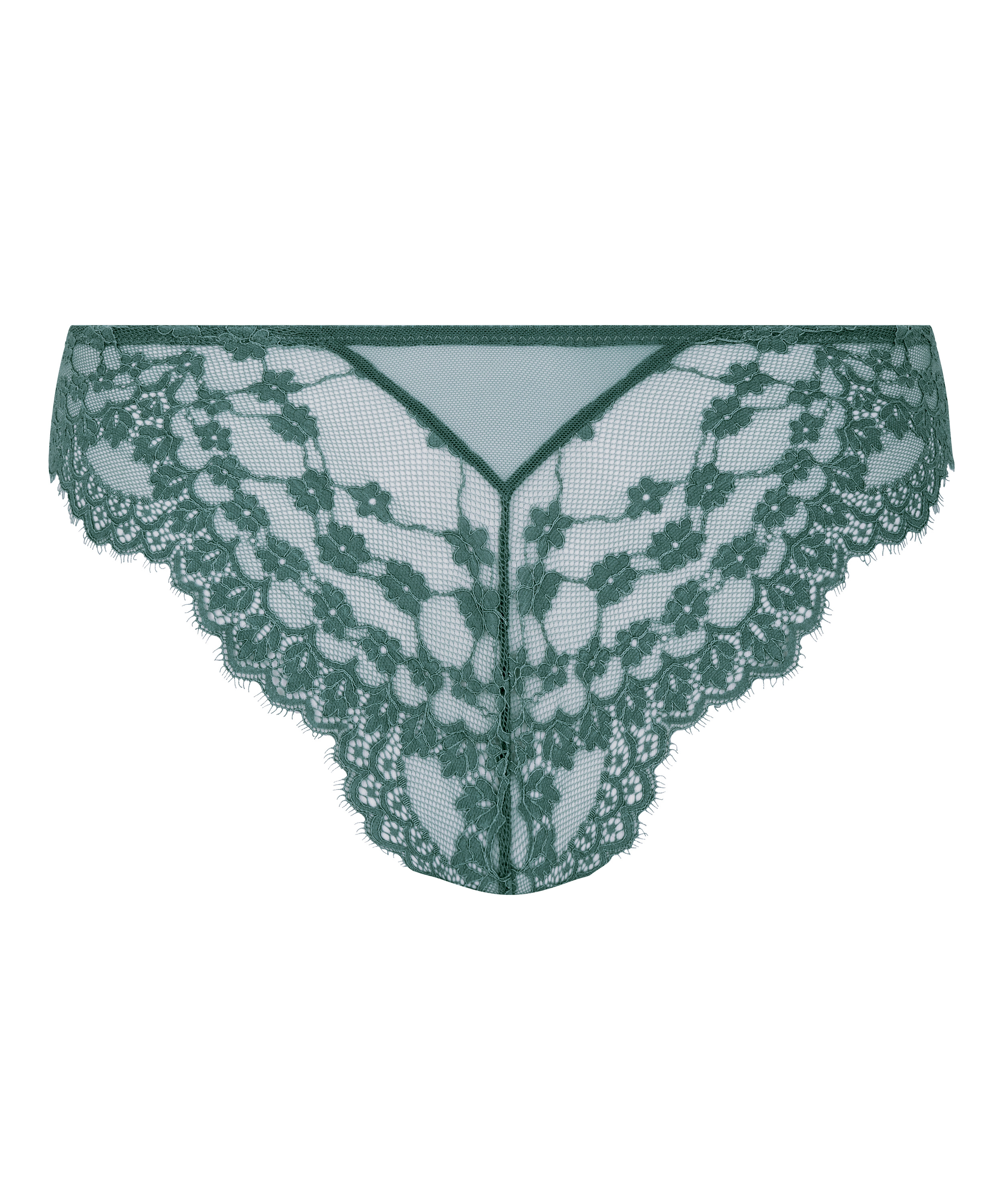 Brazilian Daisy, Blauw, main