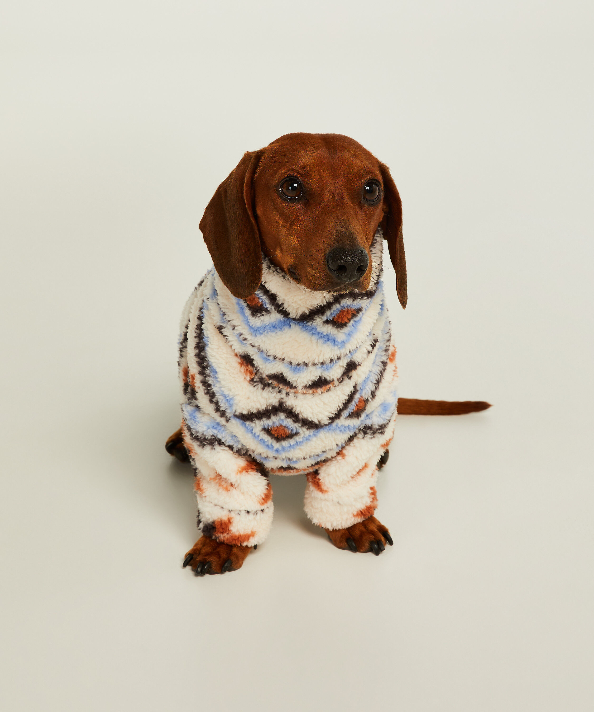 Honden onesie, Wit