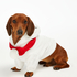 Onesie chiens en polaire, Blanc