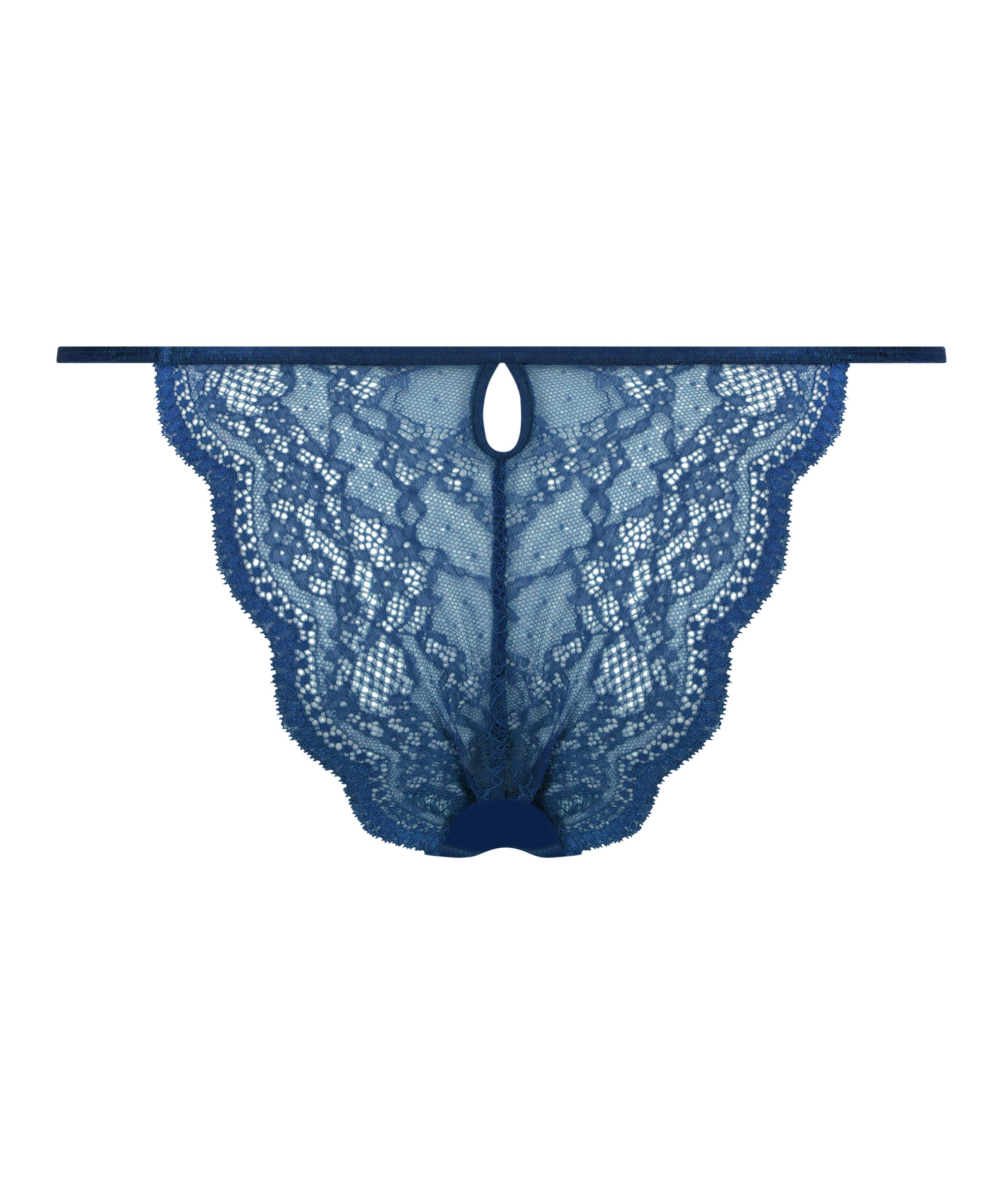 Brazilian Isabelle, Blauw, main