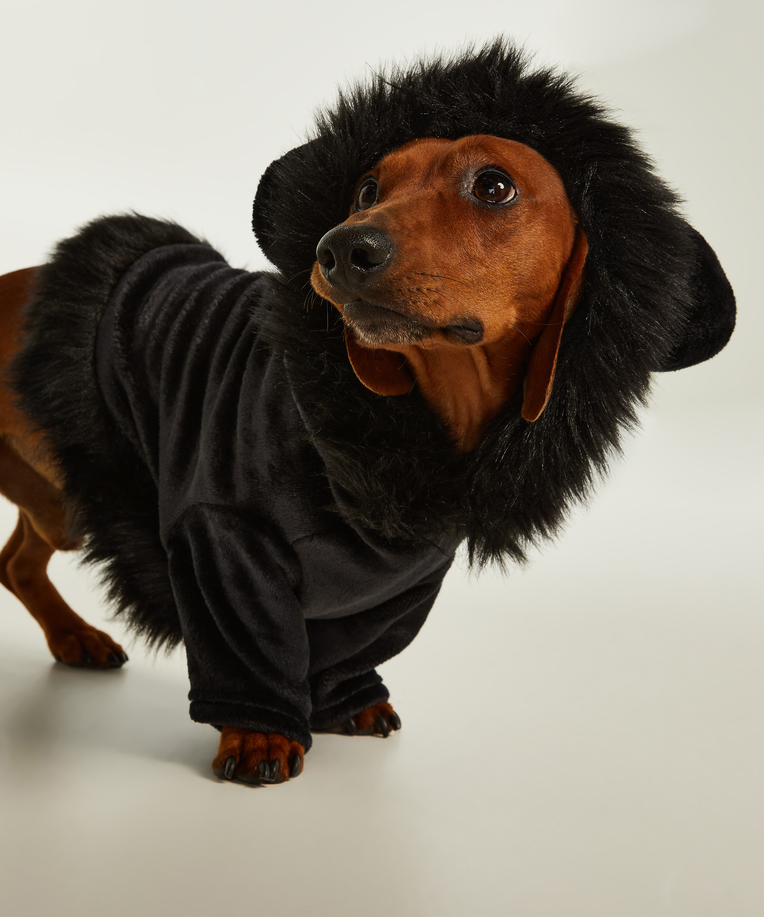 Fleece honden onesie Lucy Hale, Zwart, main