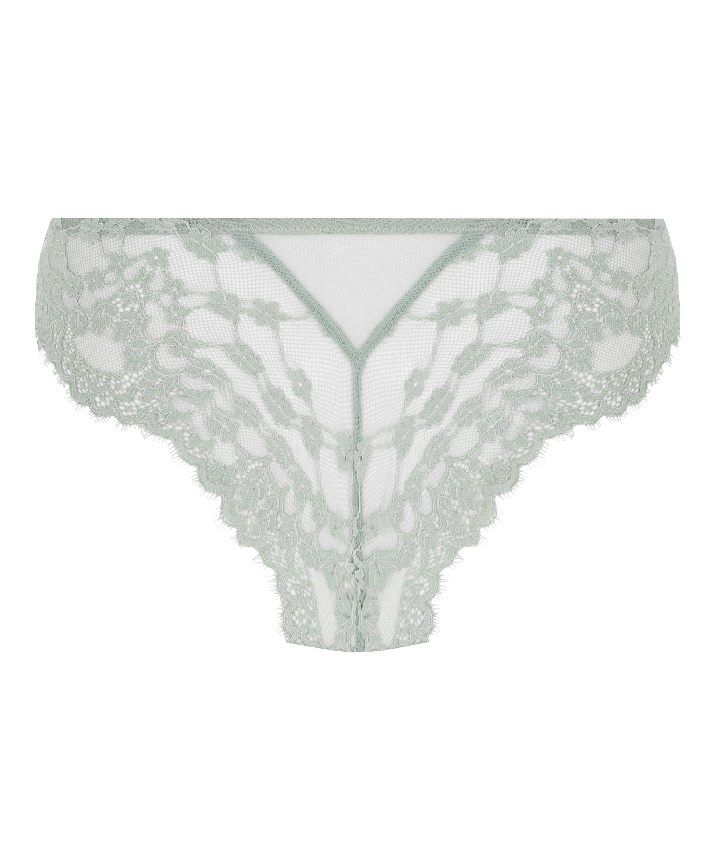 Brazilian Daisy, Groen, main