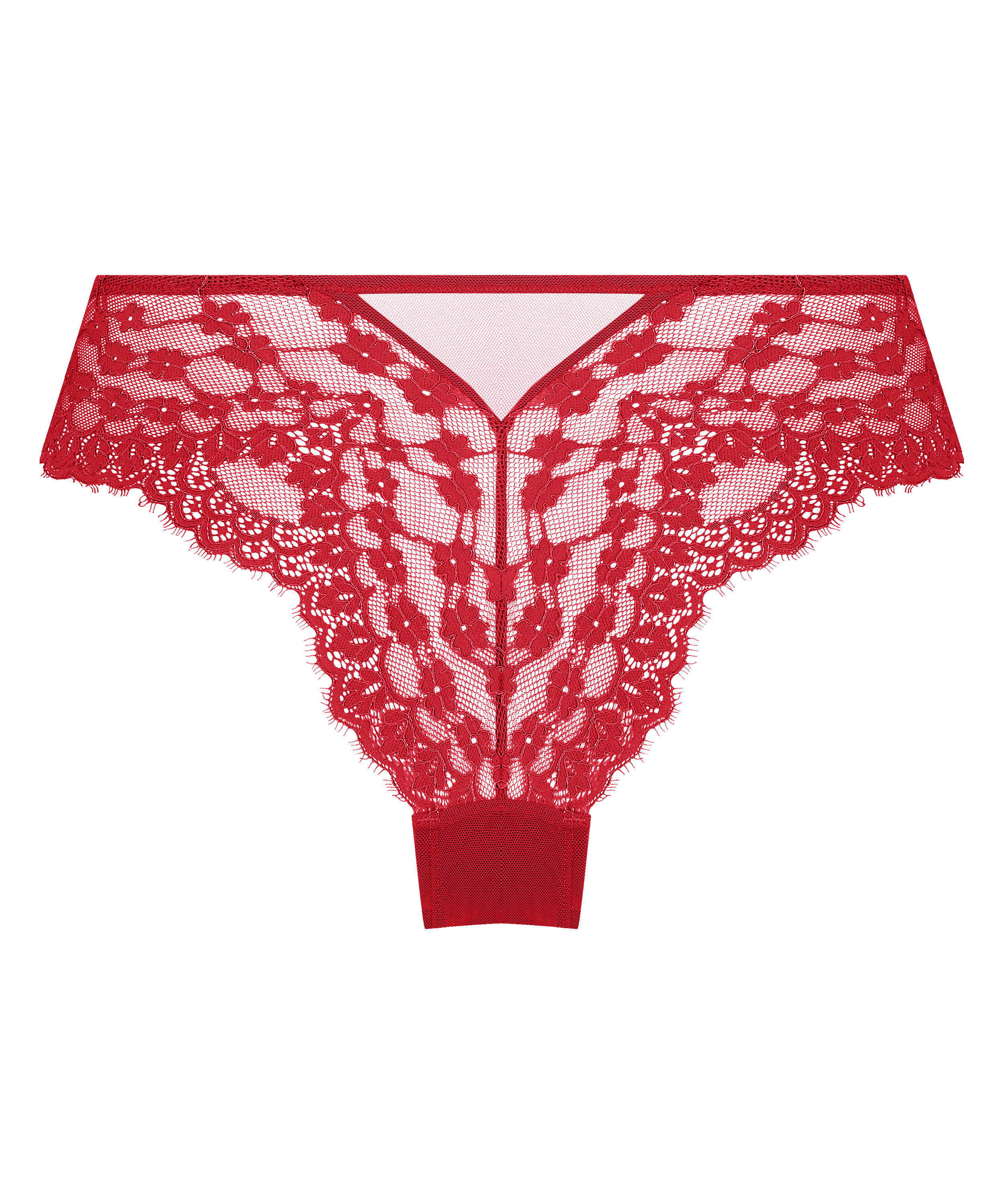 Brazilian Daisy, Rood, main