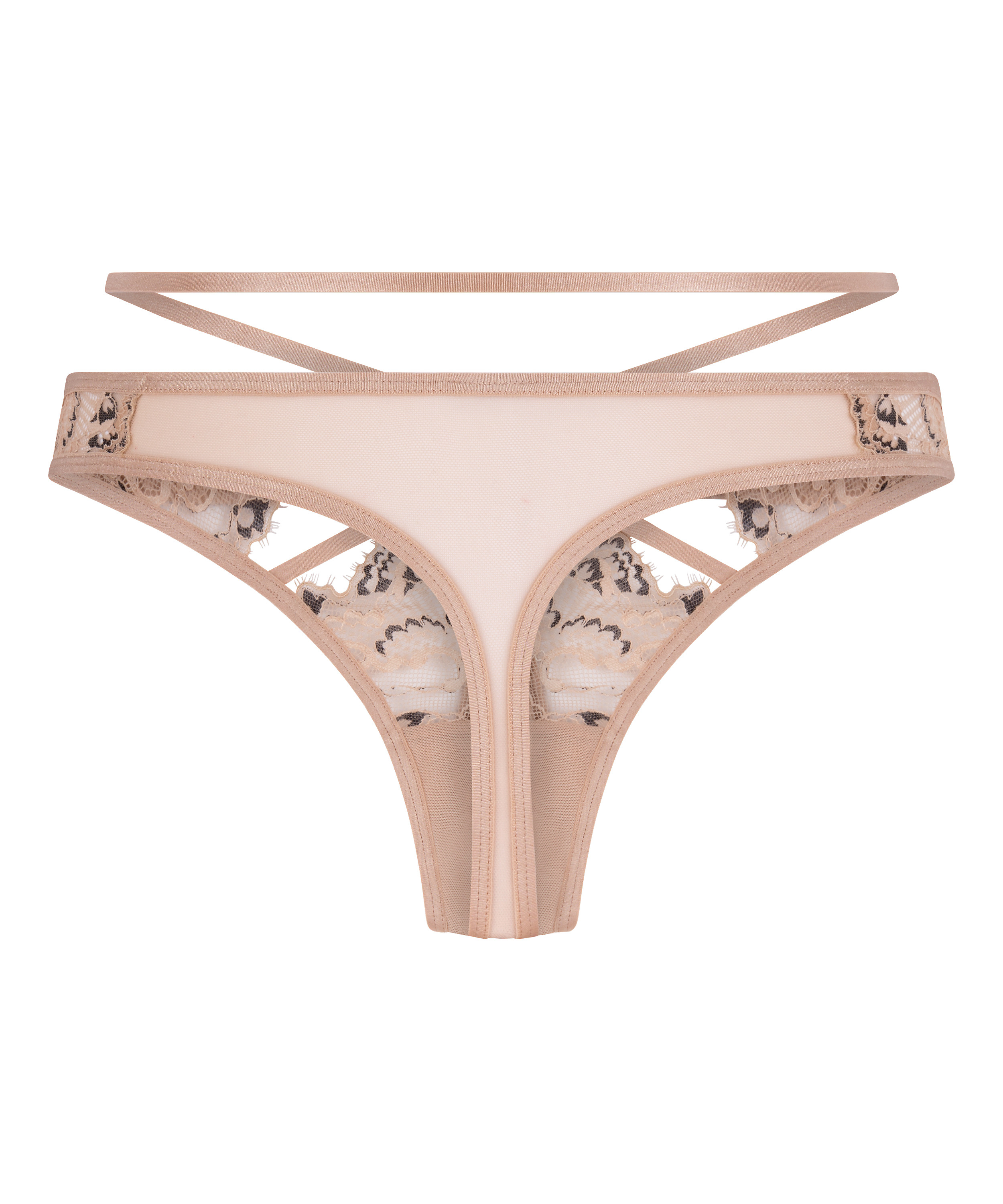 String Wera, Bruin, main