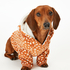 Fleece honden onesie, Bruin