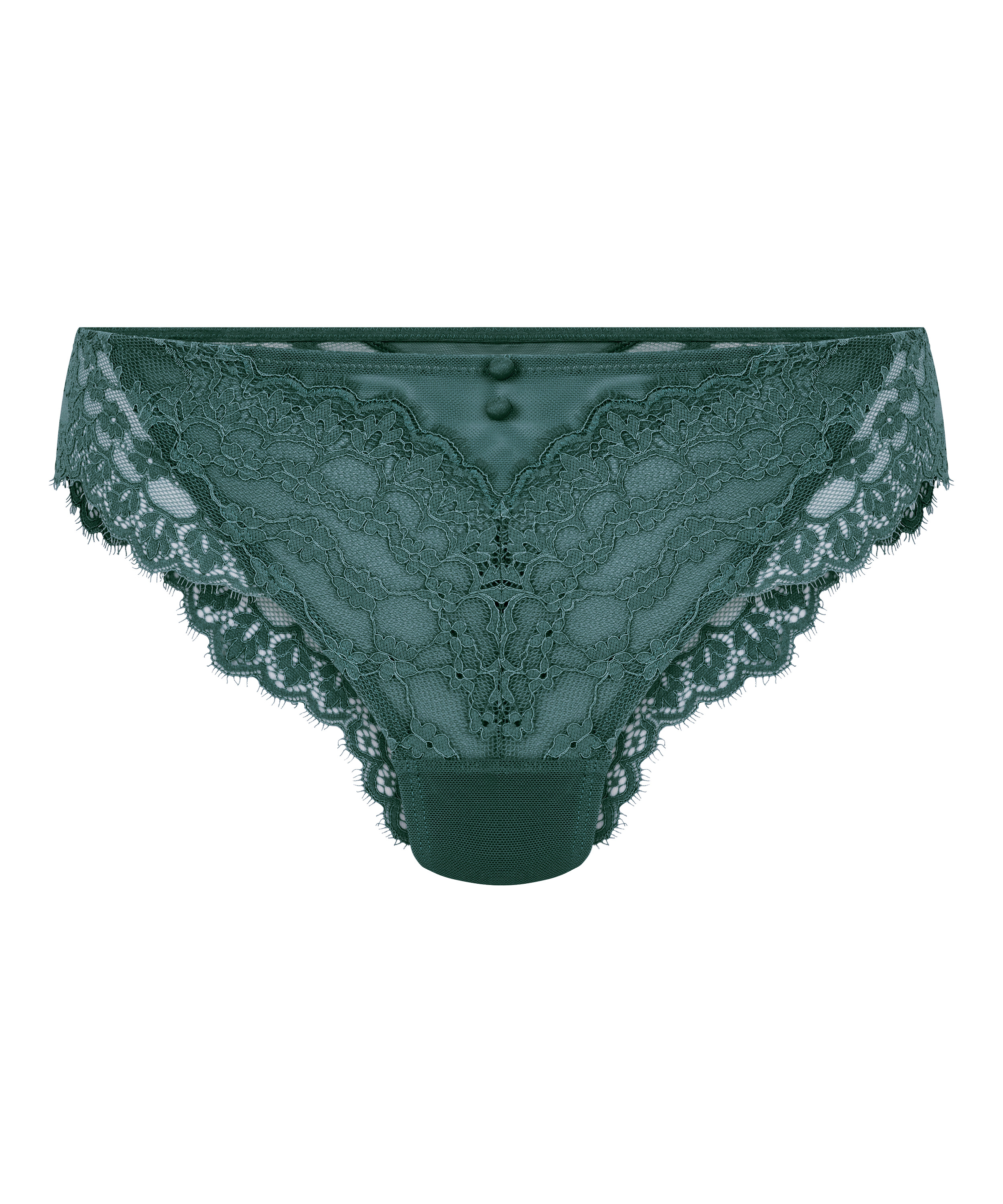 Brazilian Daisy, Blauw, main