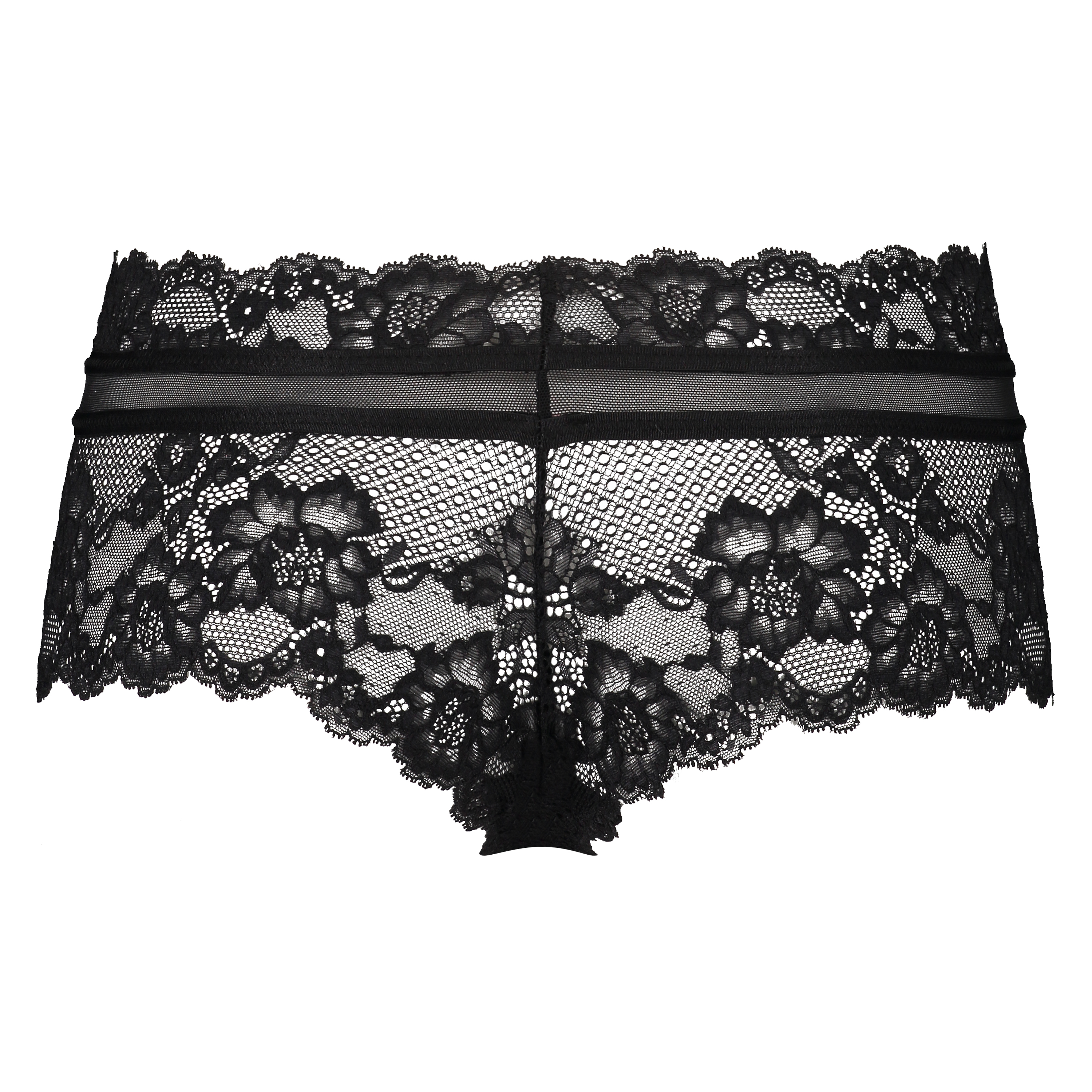 Boxer Kelly, Noir, main