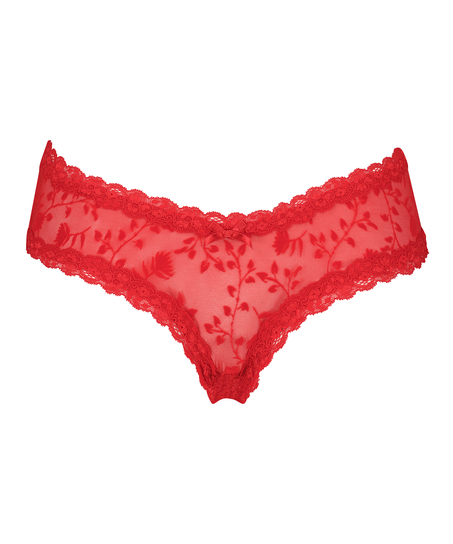 Brazilian V-shape mesh, Rood