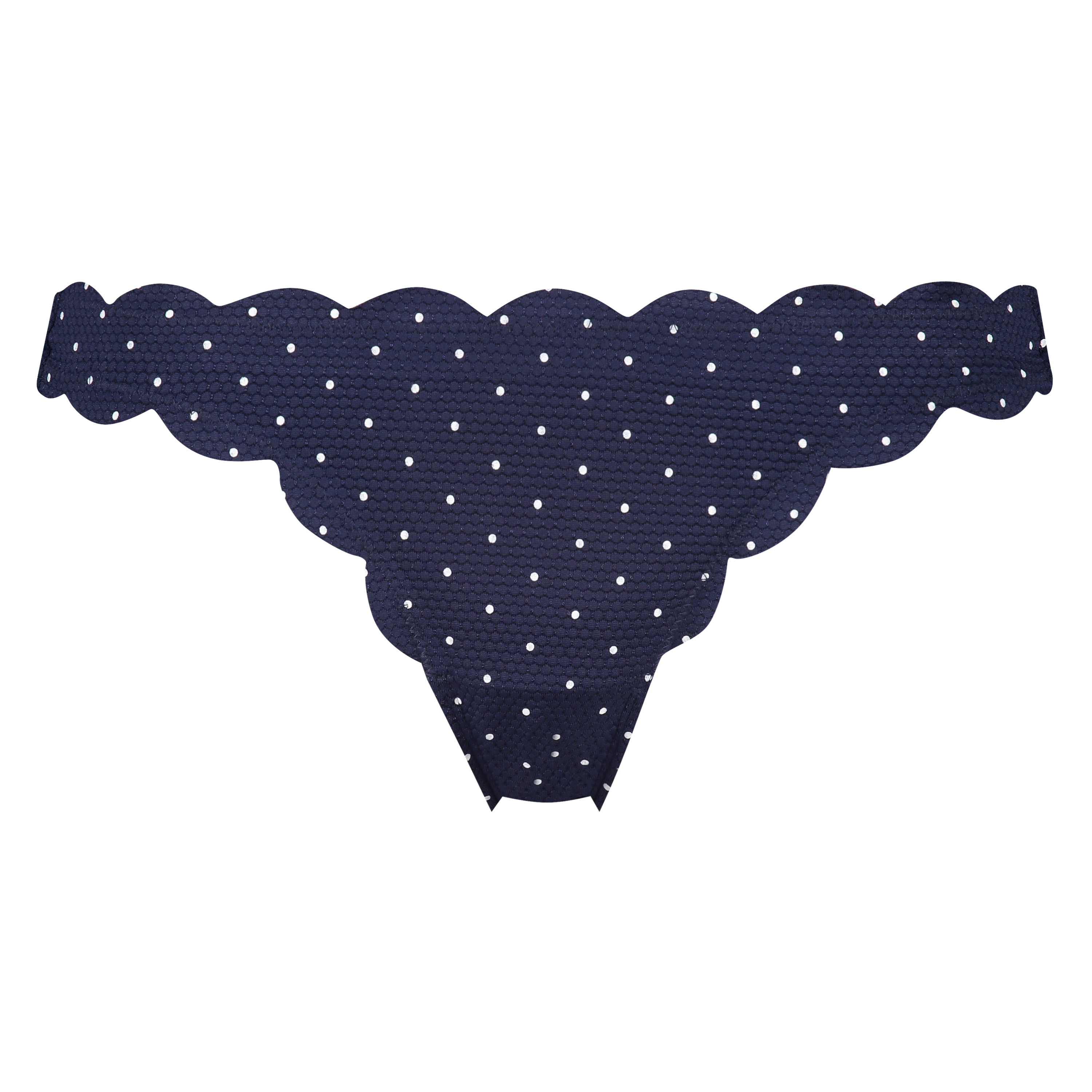 Laag rio bikinibroekje Scallop Bloom, Blauw, main