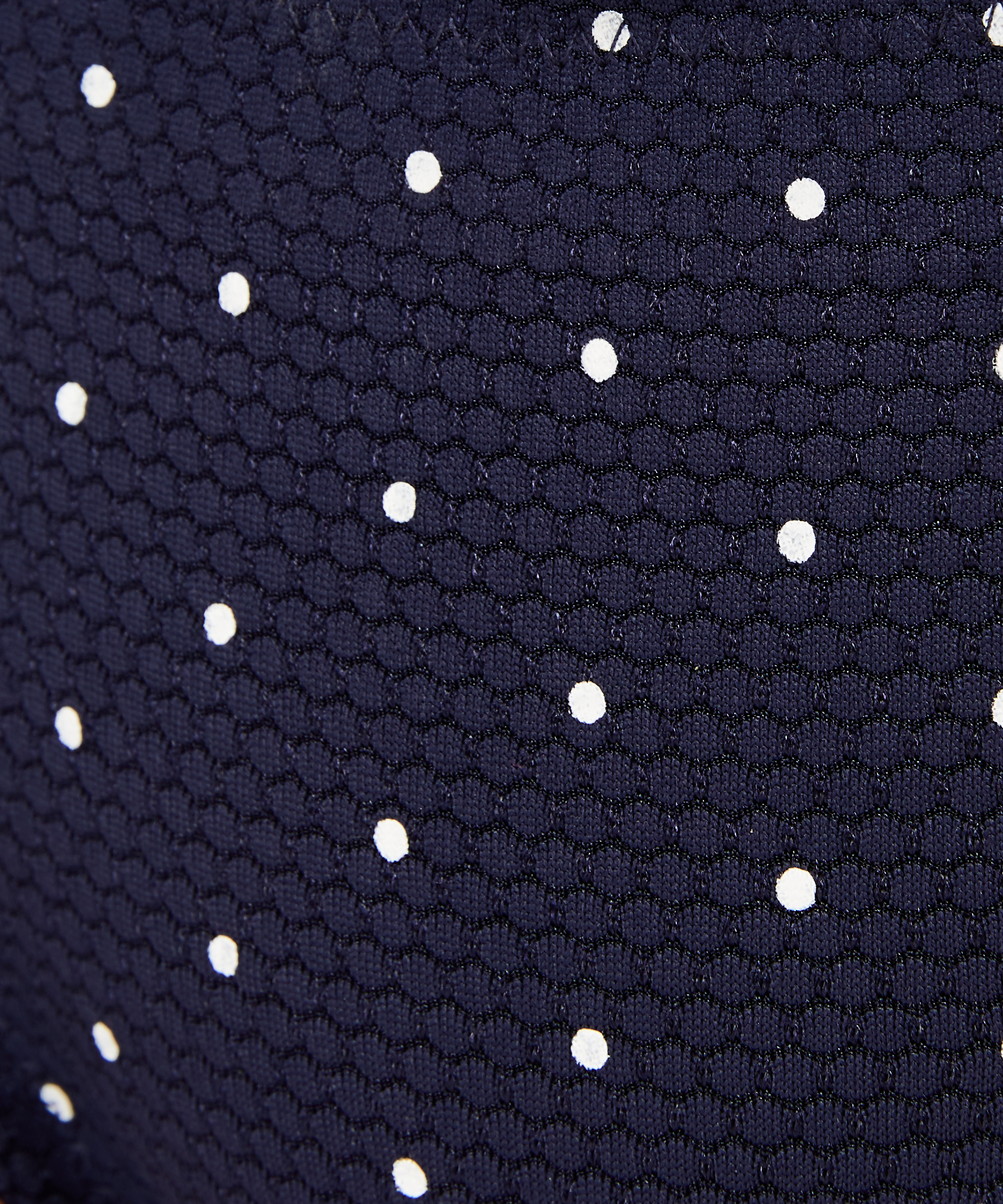 Laag rio bikinibroekje Scallop Bloom, Blauw, main